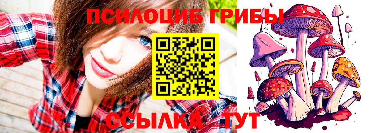 Псилоцибиновые грибы Magic Shrooms  Вход с VPN  Надым 